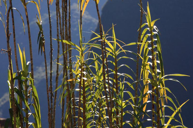 562-Machupicchu,11 luglio 2013.JPG